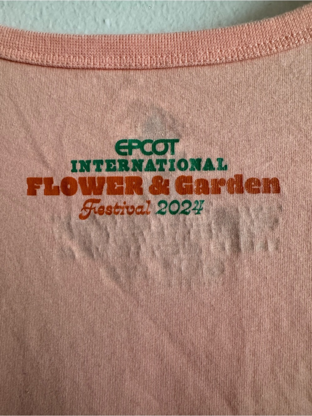 Disney Flower & Garden 2024 Tee with Orange Bird - Picture 5 of 5